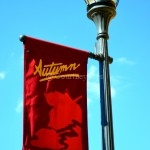Rising Sun IN Autumn Flag