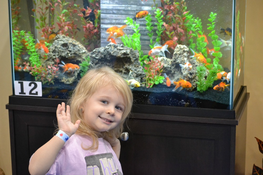 November 7-9, 2014 we had the wonderful experience to go to the World Pet Association's Aquatic Experience in Chicago, Illinois. From freshwater to saltwater, they had everything for fish lovers! #OMTravels | Optimistic Mommy