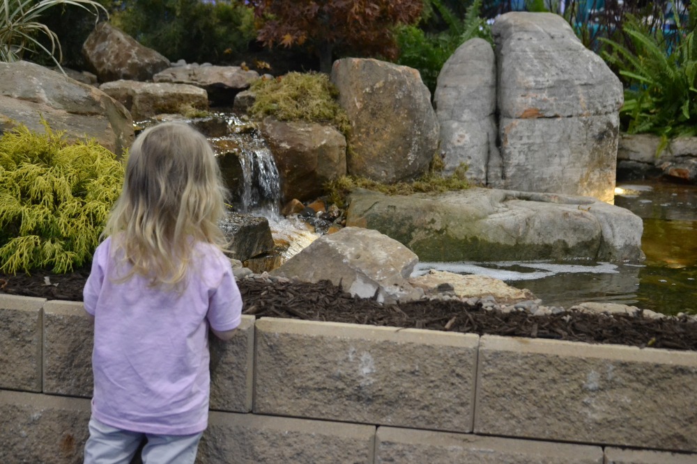 November 7-9, 2014 we had the wonderful experience to go to the World Pet Association's Aquatic Experience in Chicago, Illinois.  From freshwater to saltwater, they had everything for fish lovers! #OMTravels | Optimistic Mommy
