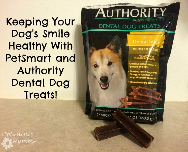 Keeping Your Dog's Smile Healthy With PetSmart and Authority Dental Dog Treats | Optimistic Mommy