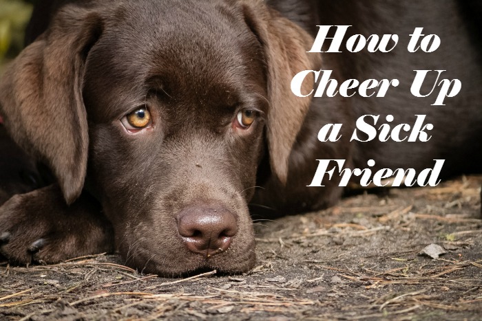 How to Cheer Up a Sick Friend | Optimistic Mommy