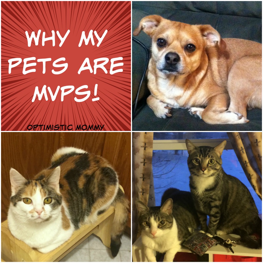 My Cats and Dog Are MVPs! (+Giveaway) #PurinaMVP | Optimistic Mommy