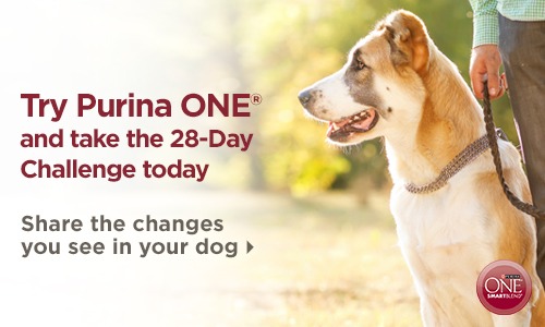 Purina One - Share The Changes