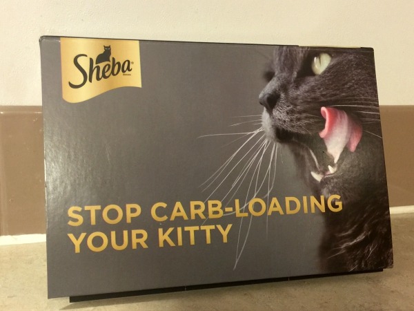 Make Sure Your Kitty is Fed Well with Sheba! #SwitchToSHEBA