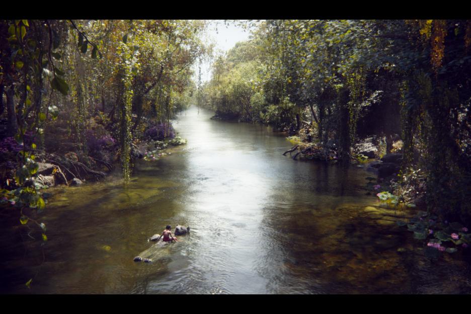 The Jungle Book - Image 01