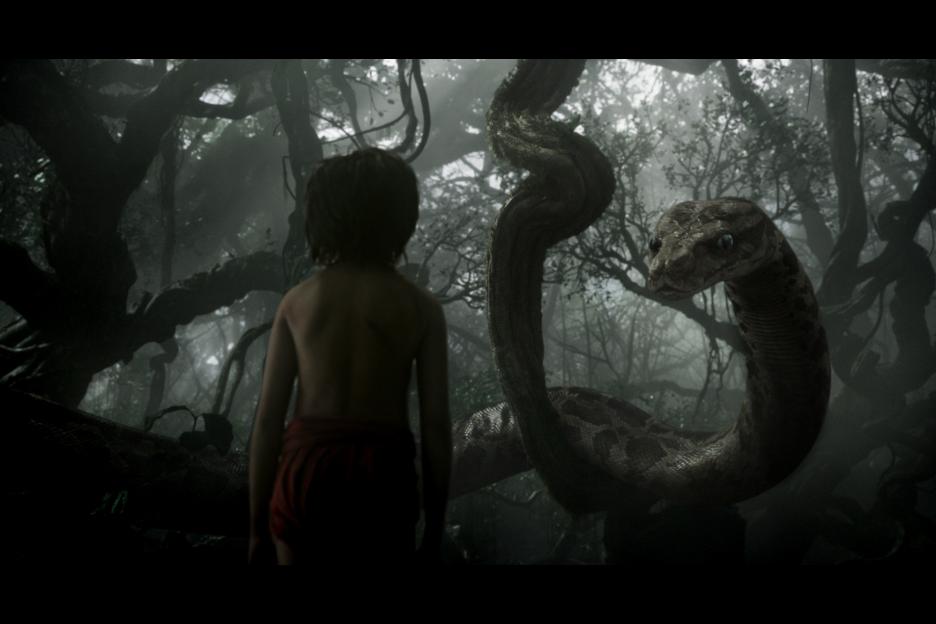 The Jungle Book - Image 02
