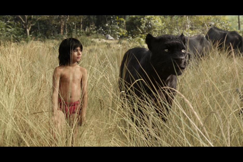 The Jungle Book - Image 03