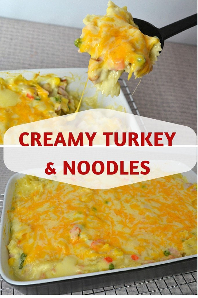 Creamy Turkey and Noodles Recipe