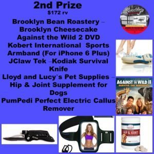 Fathers-day-grand-2nd-prize-300x300