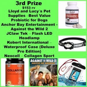 fathers-day-grand-3rd-300x300