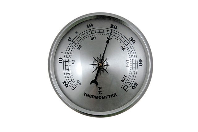 thermometer-428339_640