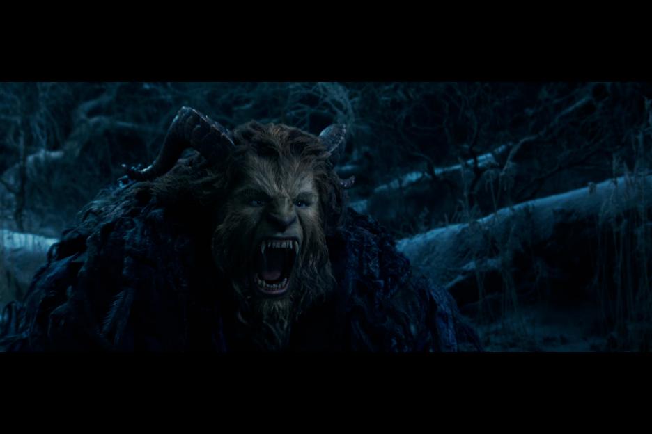 beautyandthebeast5829d6664b2ca