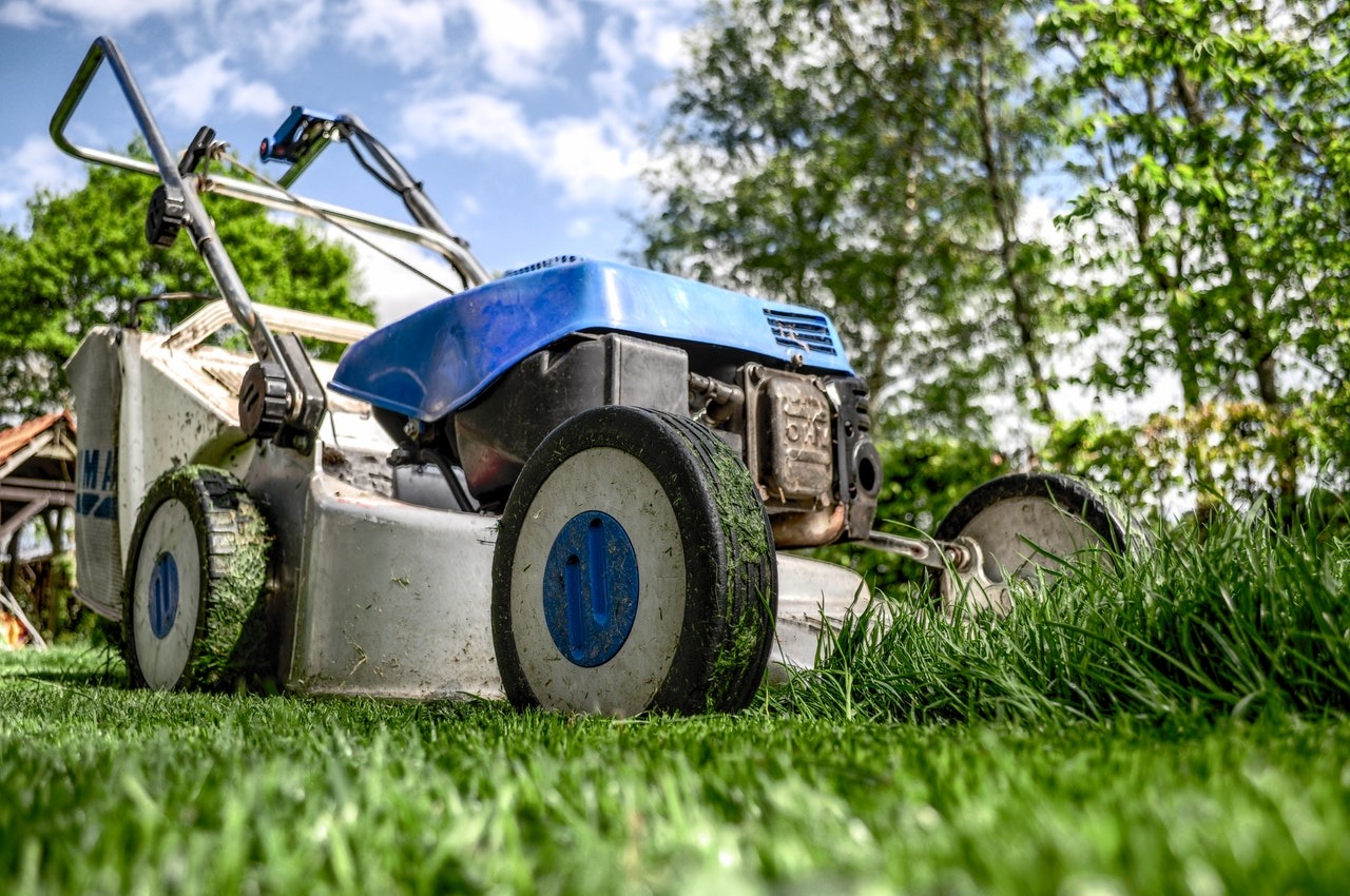 7 Ways To Minimize Care and Maintenance Cost of Your Home Lawn