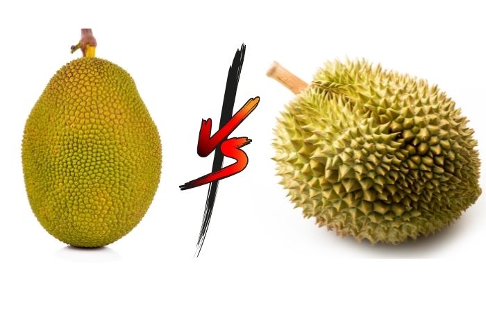 Durian Fruit vs Jackfruit