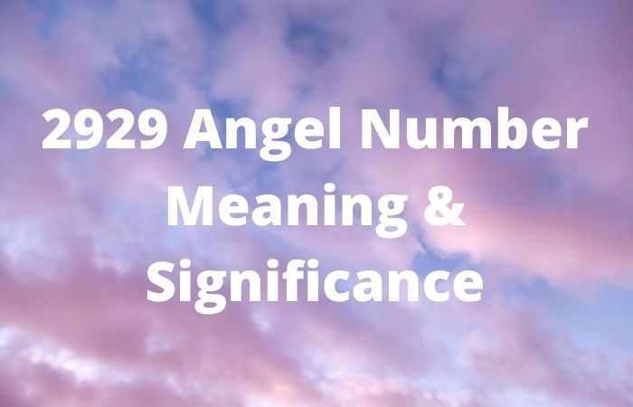 2929 Angel number
