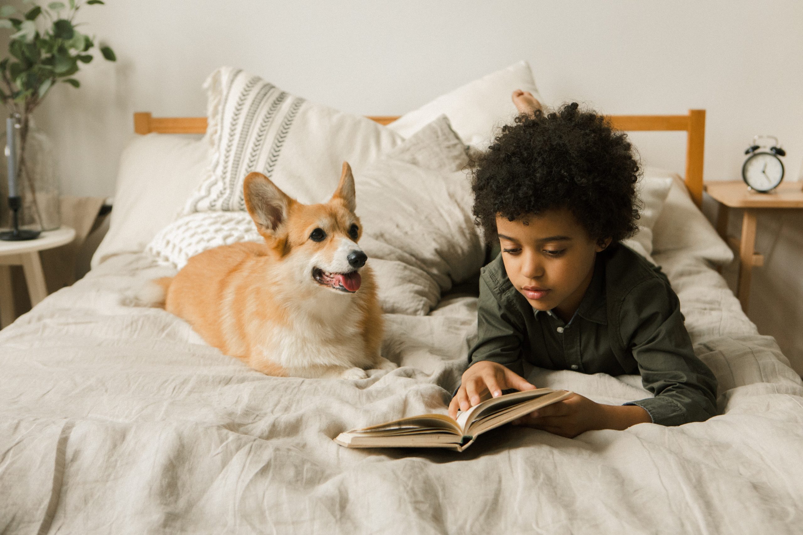 A boy reading a book along with his dog.