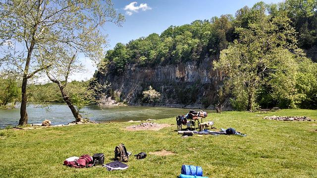 A beautiful picnic spot with greenery and a river surrounding.