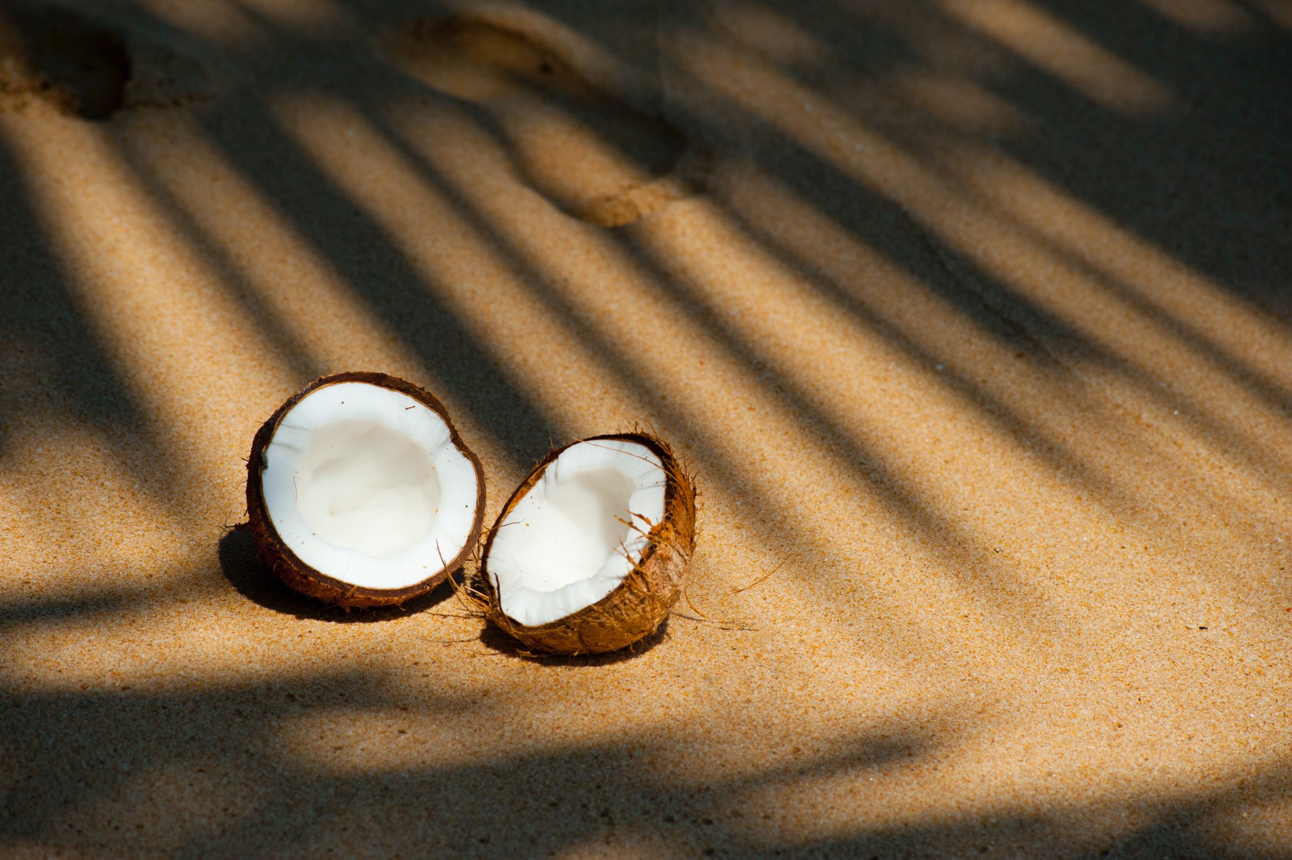 world of coconuts