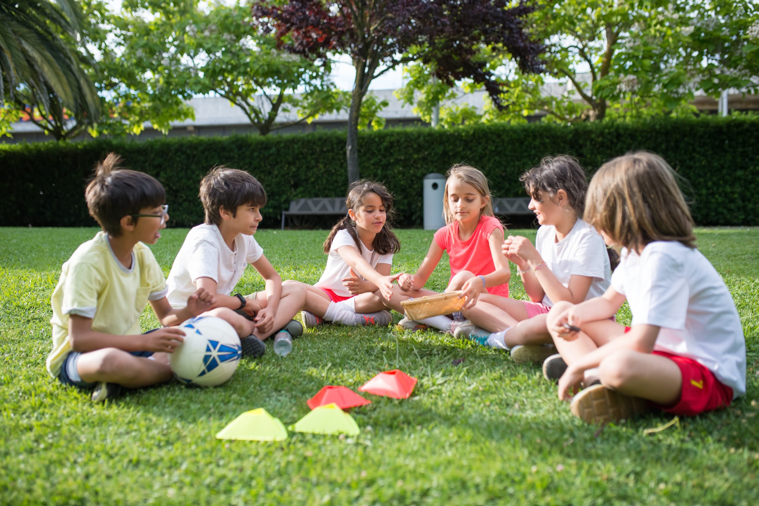 Picnic and Play Frisbee