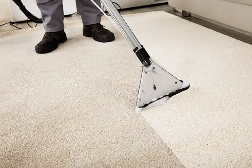 Essential Steps for Effective Carpet Cleaning