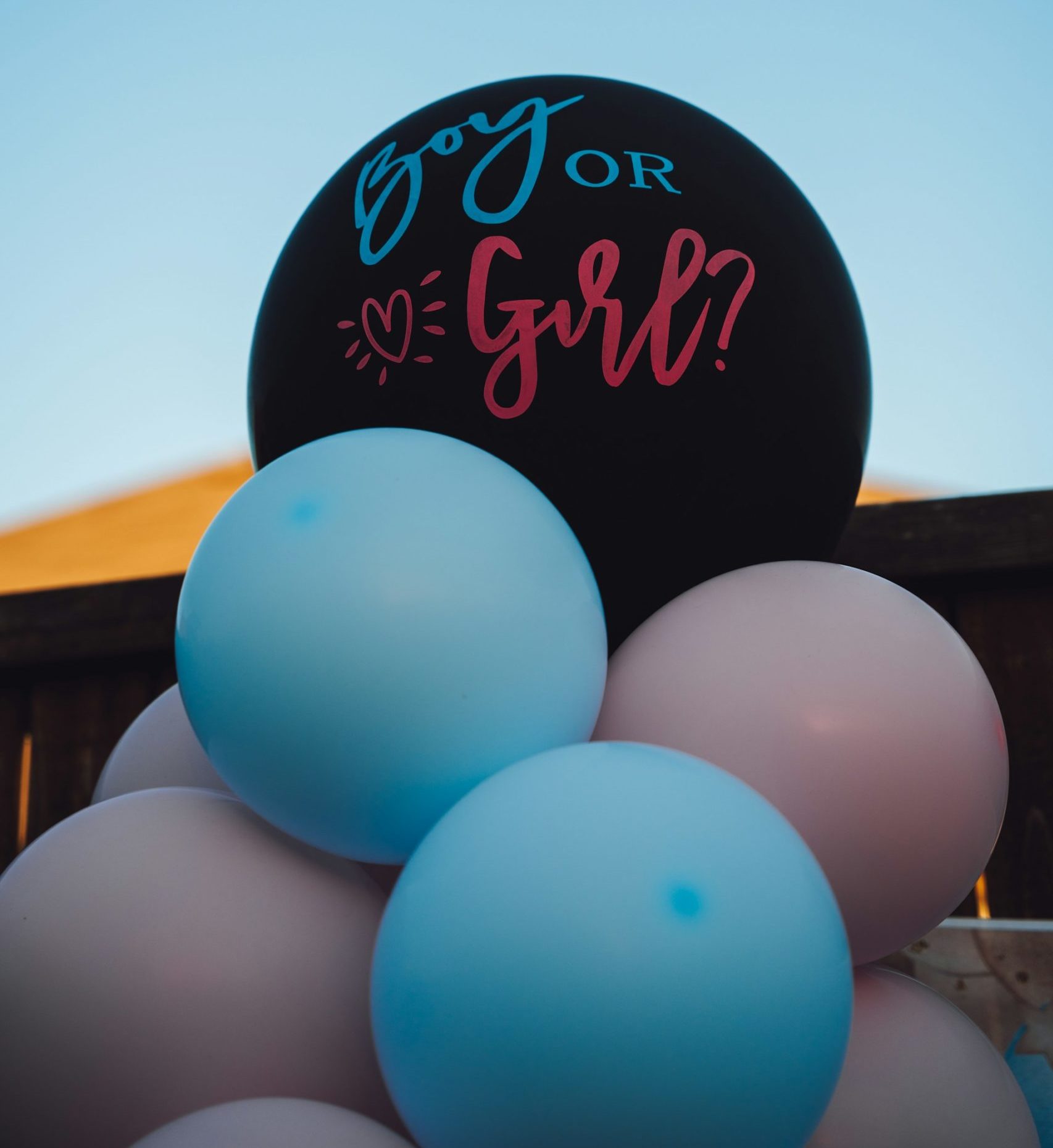 Gender Reveal Party