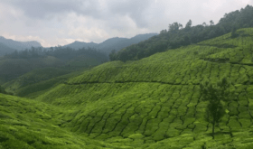 kerala nature