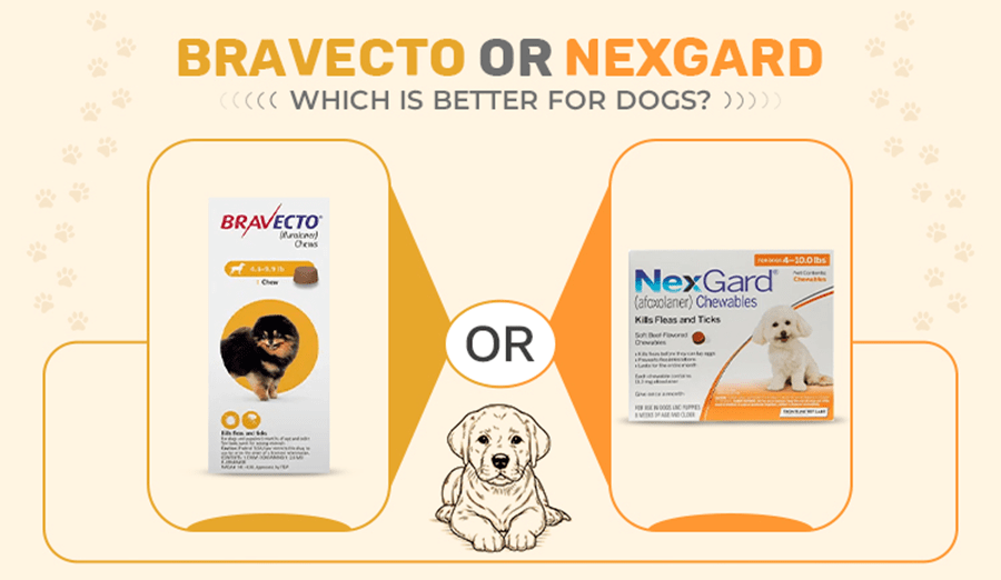 Bravecto or Nexgard