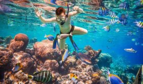 Visitor snorkelling above vibrant coral formations and tropical marine life in the Great Barrier Reef