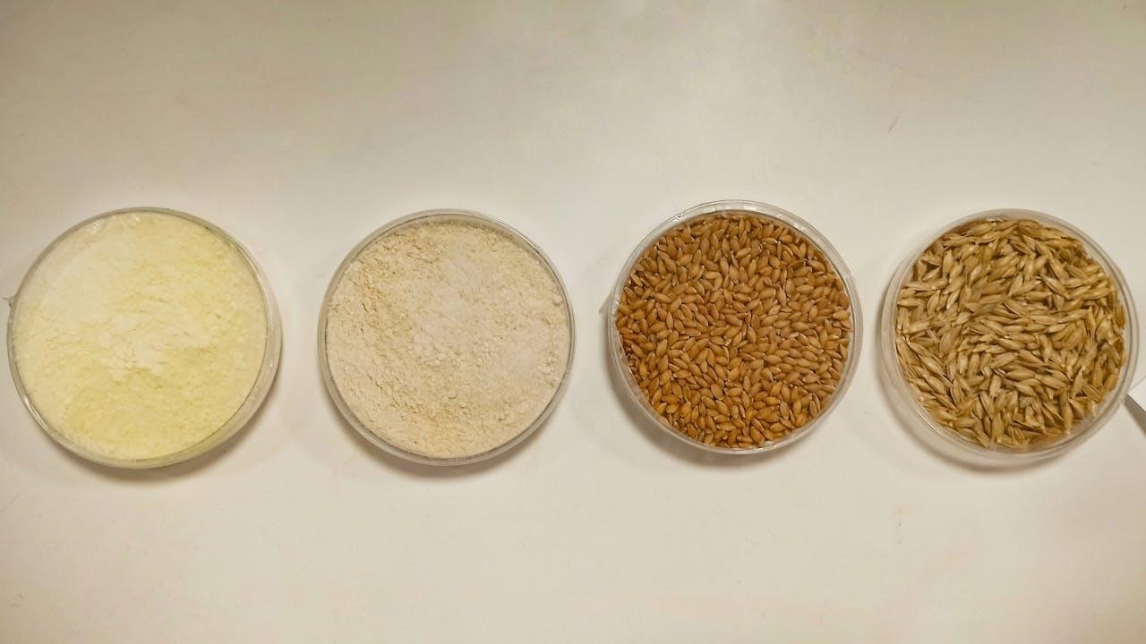 Wholesale Flour