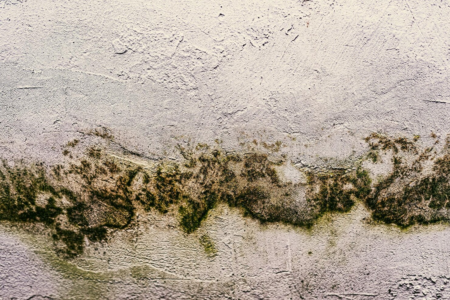 Damp Patch