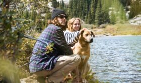 Family Travel Tips for Household With Dogs