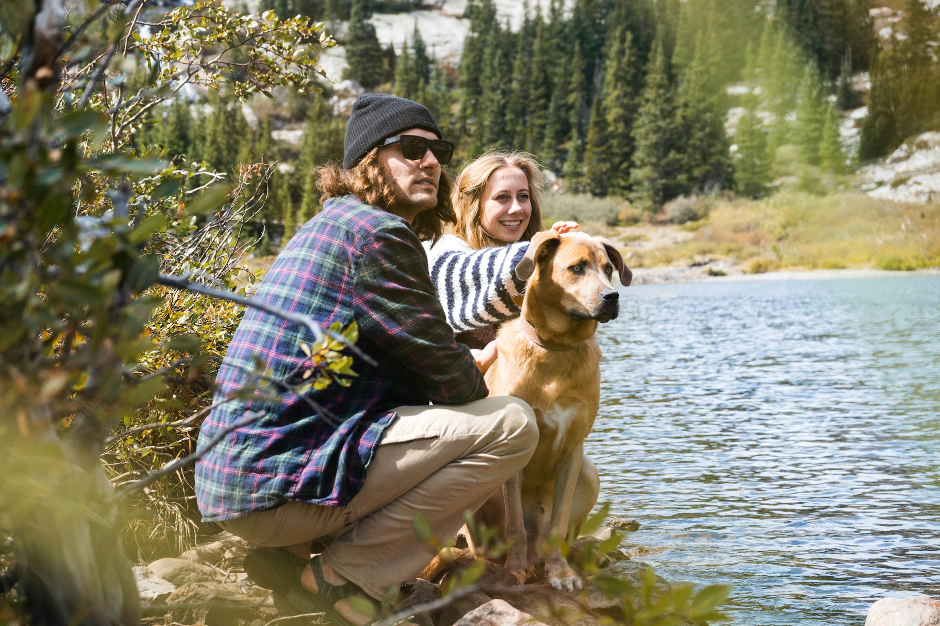 Family Travel Tips for Household With Dogs