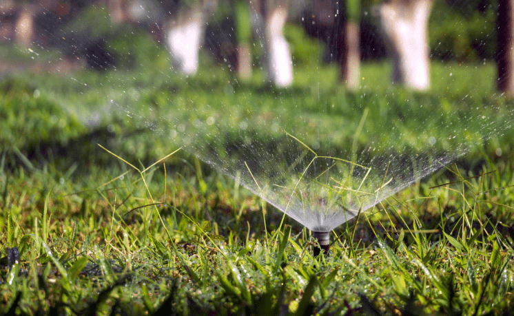 Healthier Lawn 