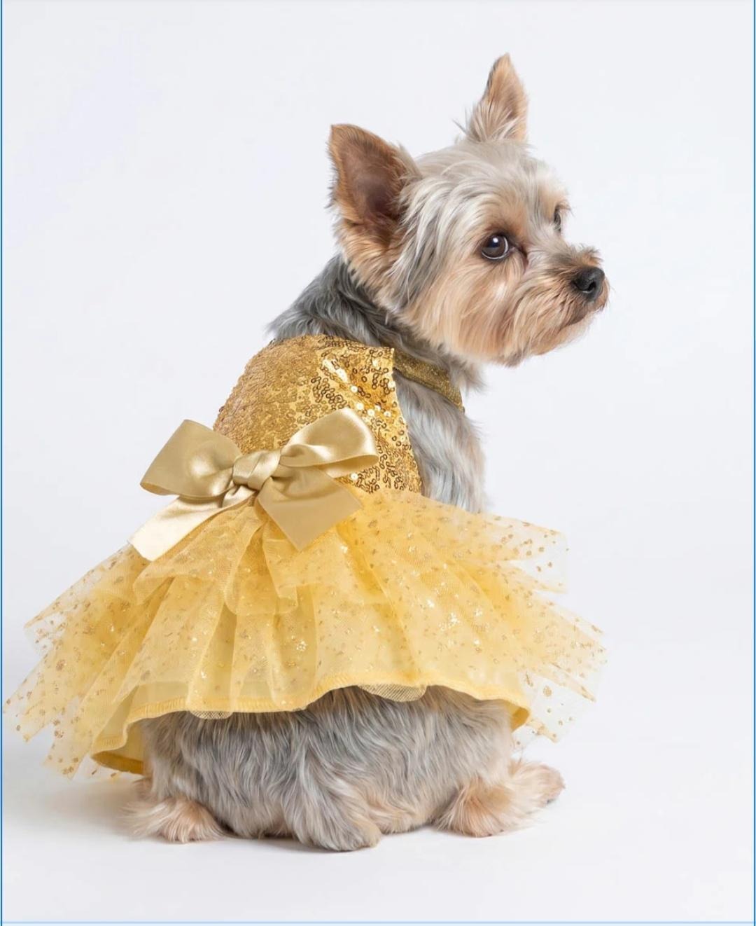 Chihuahua Tutu Dresses