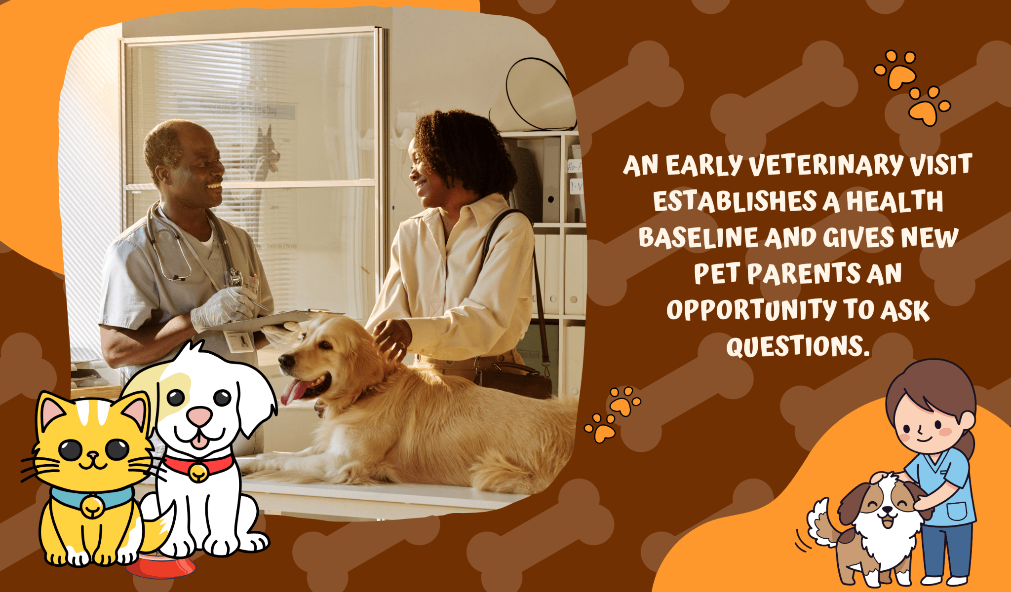 veterinary checkup