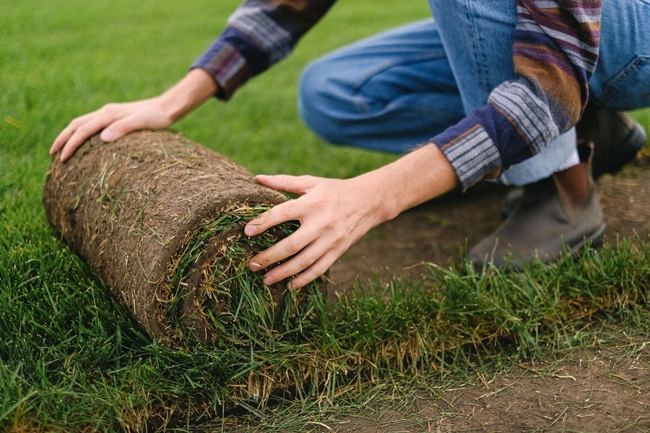 Lawn